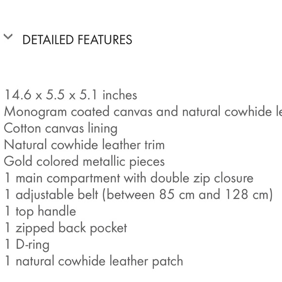 💔LOUIS VUITTON BUM BAG💔 - Picture 8 of 8